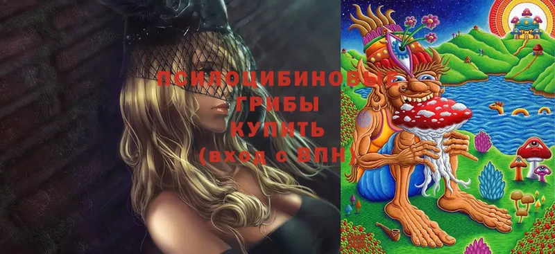 Галлюциногенные грибы GOLDEN TEACHER  Кувандык 